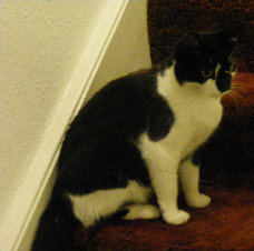 wpef961948_0f.jpg